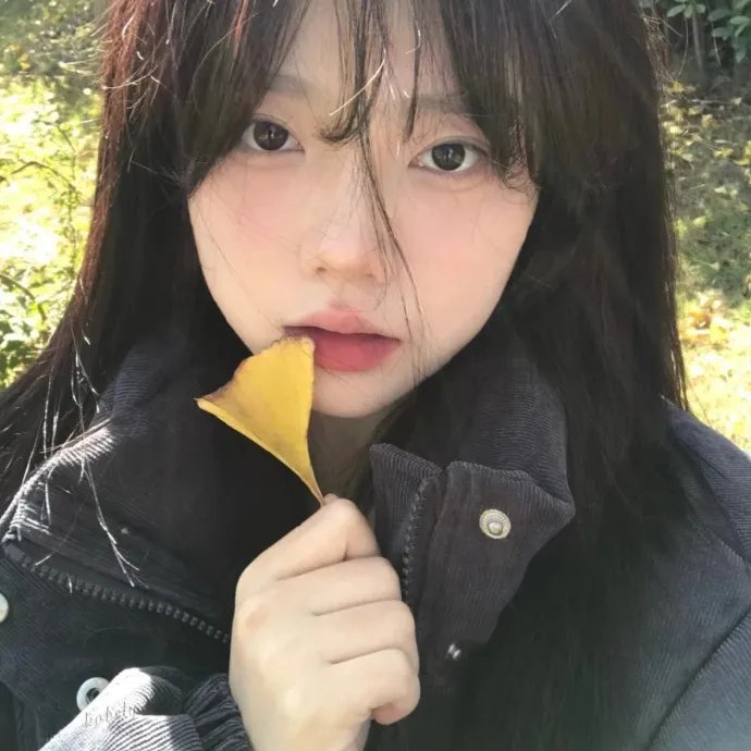 艺伎回忆录